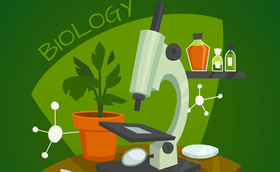 Soal TKA Biologi 2026 Tidak Lagi Hafalan, Ini yang Harus Dipahami